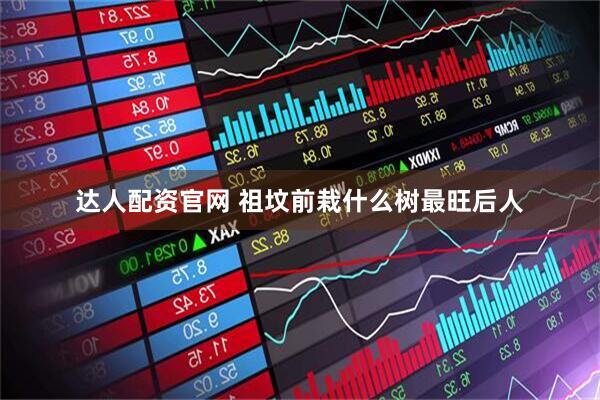 达人配资官网 祖坟前栽什么树最旺后人